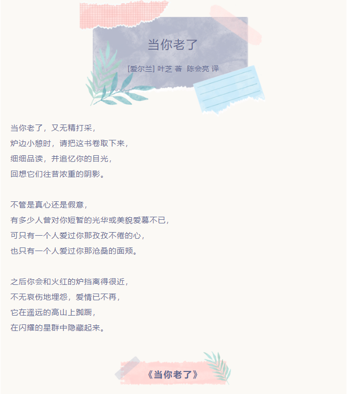 image.png?v=1751770127604