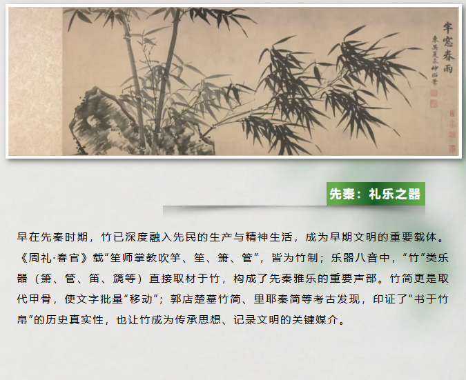 image.png?v=1762126139768