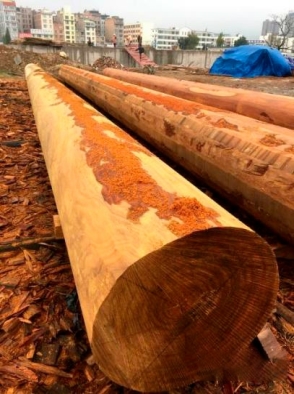 pagenumber_ebook=73,pagenumber_book=64