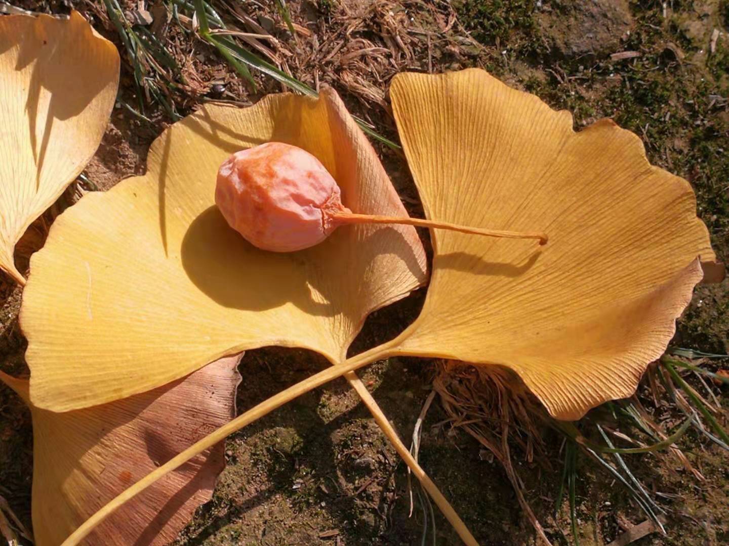 020e2d4bd52818ebb6808a31d3a93bf 020e2d4bd52818ebb6808a31d3a93bf.jpg