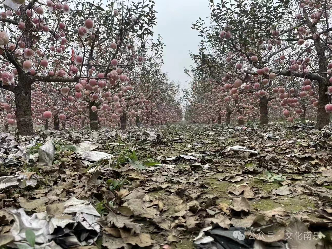 微信图片_20241010153642 微信图片_20241010153642.jpg