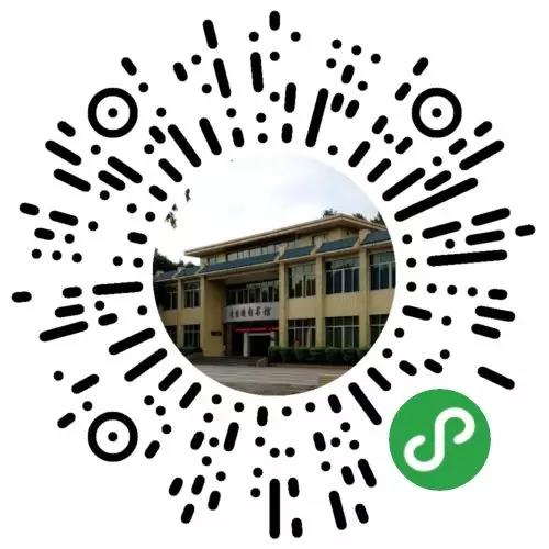 3 3.jpg?v=1765894075457