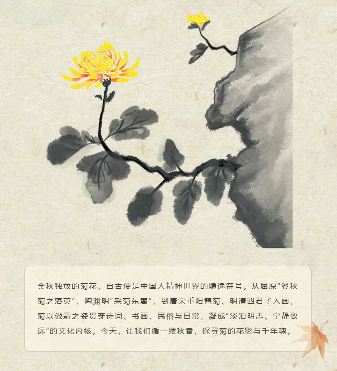 image.png?v=1762100057603