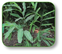 pagenumber_ebook=265,pagenumber_book=252