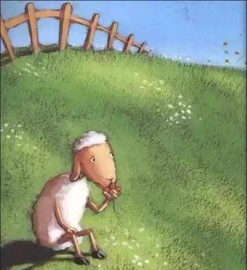 3 3.jpg?v=1772869095561