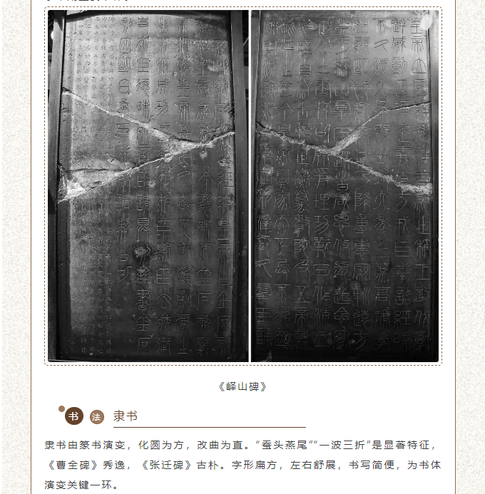 image.png?v=1751557974773
