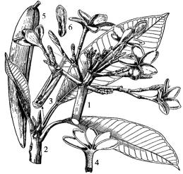 pagenumber_ebook=163,pagenumber_book=163