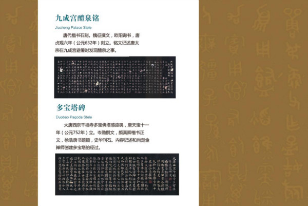 c1864b93-c3a1-45dd-9aee-c0e81ef42e0d