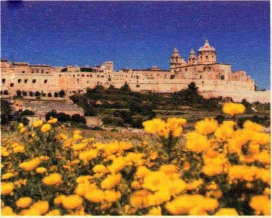 pagenumber_ebook=219,pagenumber_book=210