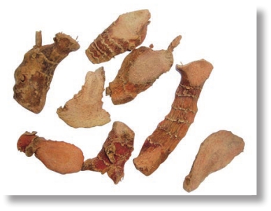 pagenumber_ebook=132,pagenumber_book=119