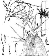 pagenumber_ebook=131,pagenumber_book=131