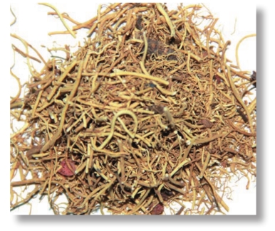 pagenumber_ebook=23,pagenumber_book=10