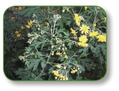 pagenumber_ebook=56,pagenumber_book=43