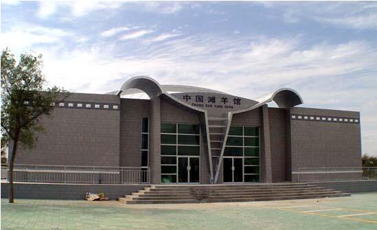 B2.jpg?v=1763520831020