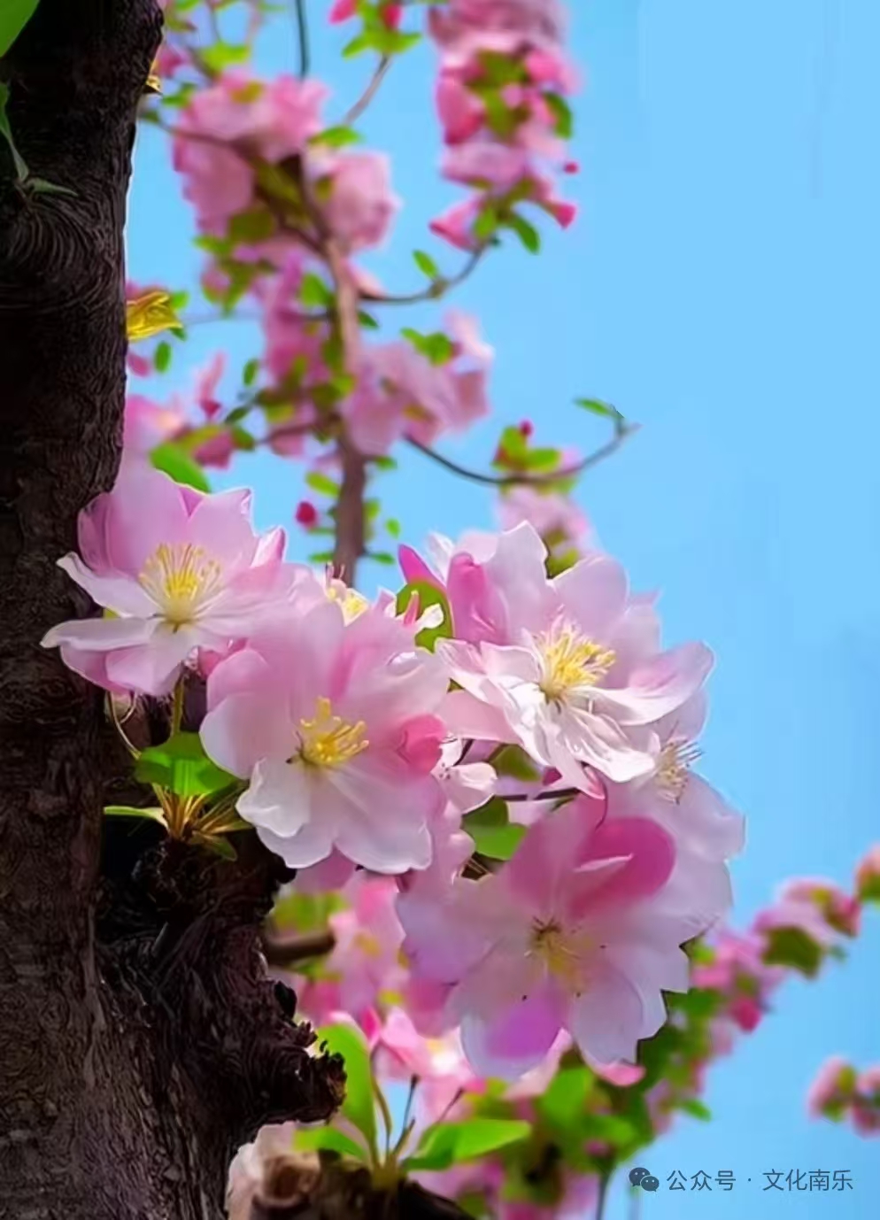 微信图片_2025-08-19_161355_114.jpg