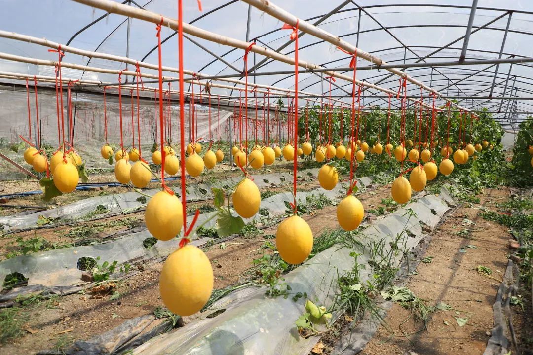 和律乡村旅游区3 和律乡村旅游区3.jpg