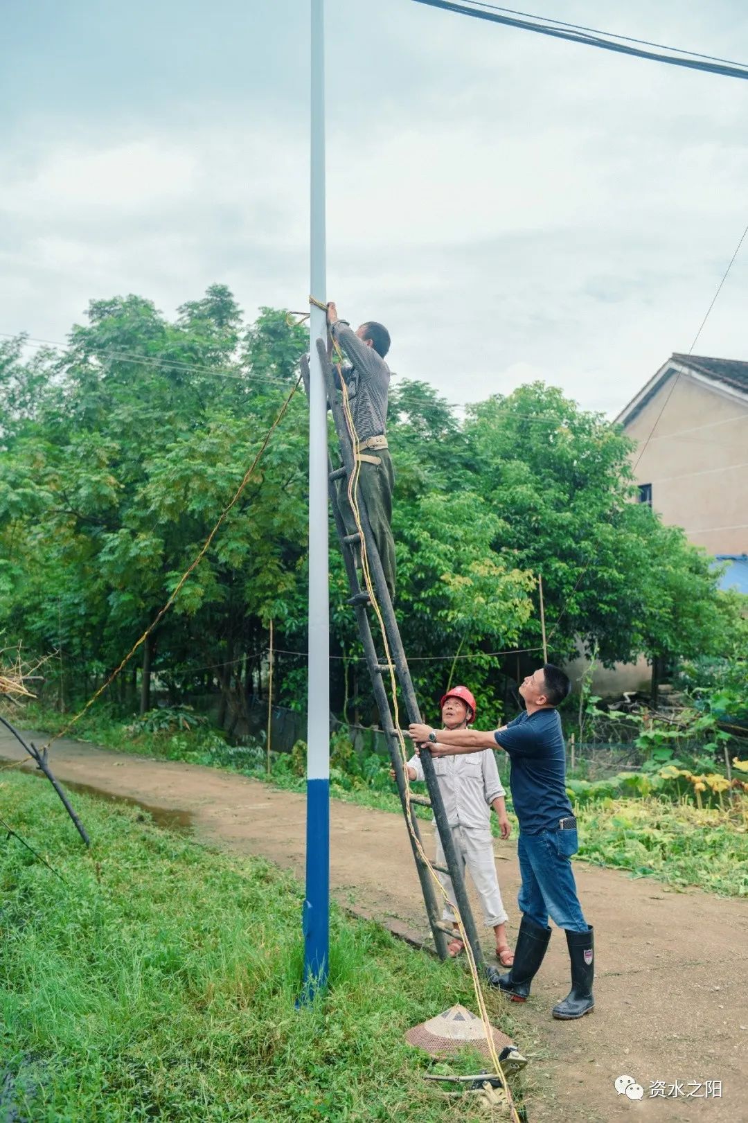 16 16.jpg?v=1765946446483