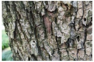 pagenumber_ebook=47,pagenumber_book=39