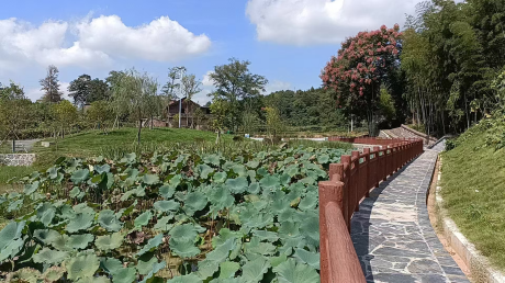 图片 9 图片 9.png