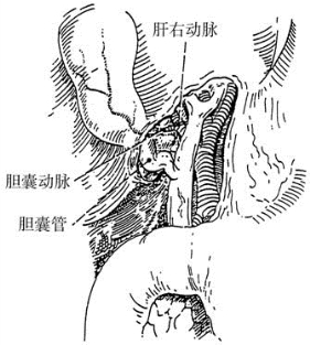 pagenumber_ebook=97,pagenumber_book=82