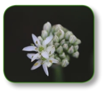 pagenumber_ebook=146,pagenumber_book=133