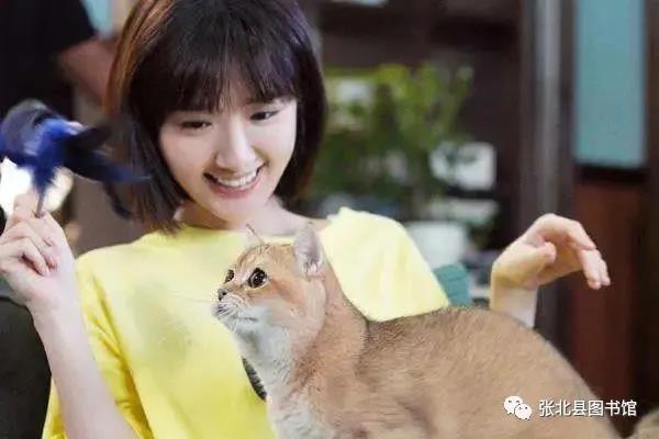 微信图片_20201208102847 微信图片_20201208102847.jpg?v=1764562441757