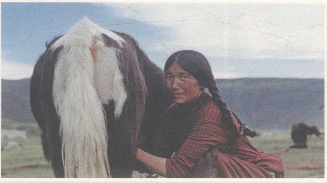 pagenumber_ebook=189,pagenumber_book=175