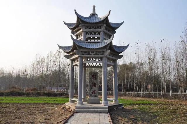 微信图片_20210225091757 微信图片_20210225091757.jpg