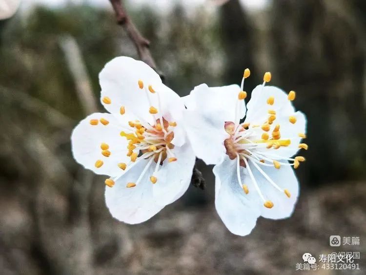 微信图片_20230414095950