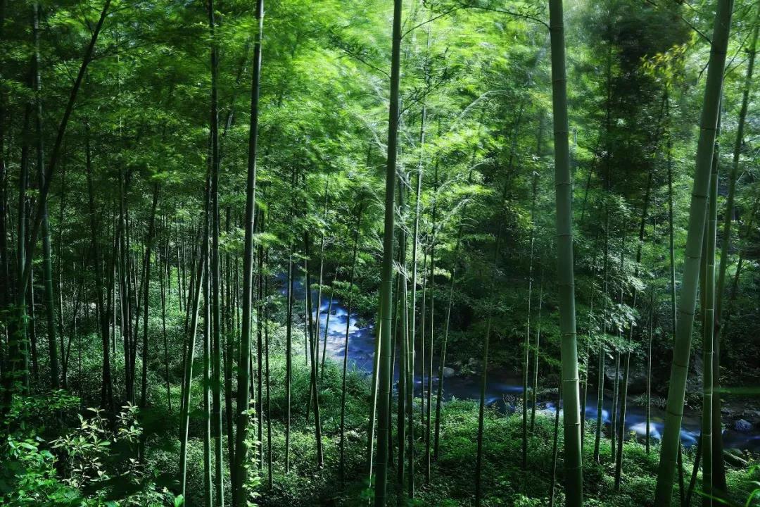 微信图片_20200712014902 微信图片_20200712014902.jpg