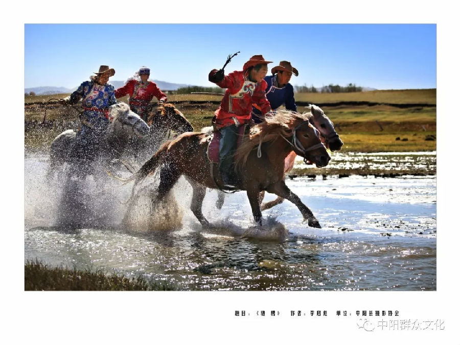 640.webp (2).jpg?v=1764880118725