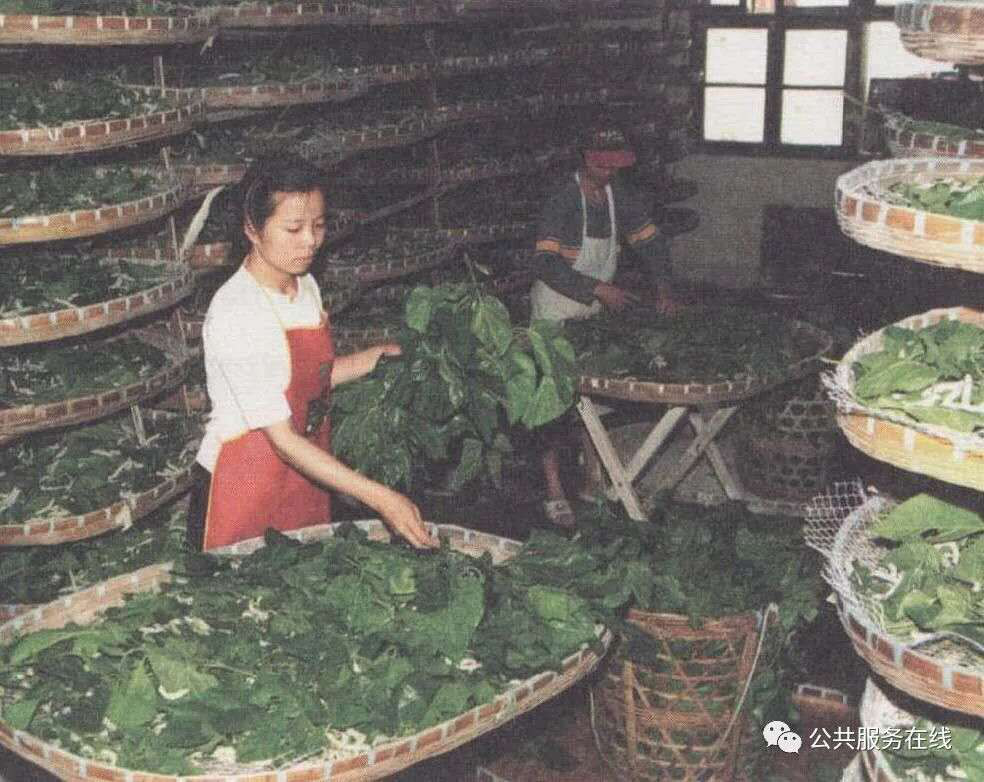 图片5 图片5.png?v=1762227529430