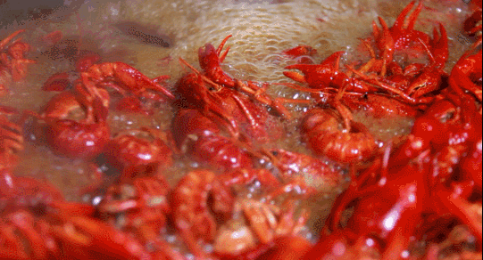 微信图片_20200803161318.gif