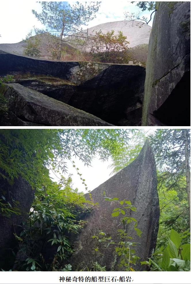 1732261486431 1732261486431.png