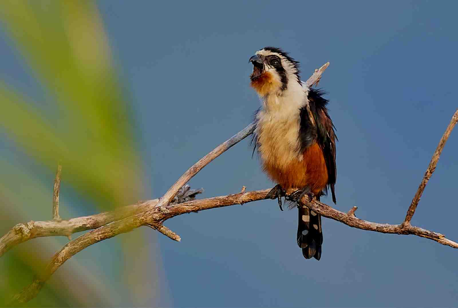 007dll2Jly4h6owdi00etj318g0tvjs9