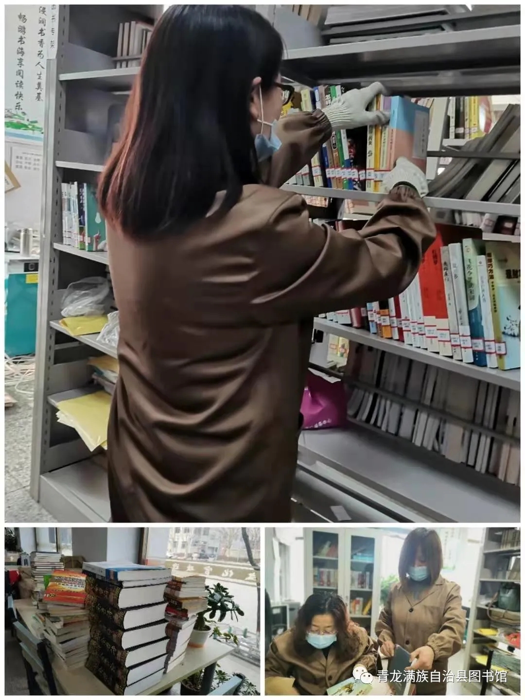 640.webp (12) 640.webp (12).jpg?v=1770179863075