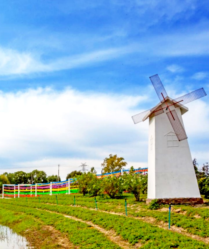 微信图片_20230904101740_2 微信图片_20230904101740_2.png