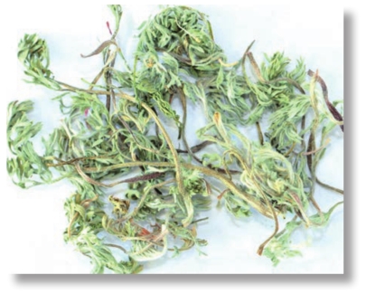 pagenumber_ebook=124,pagenumber_book=111