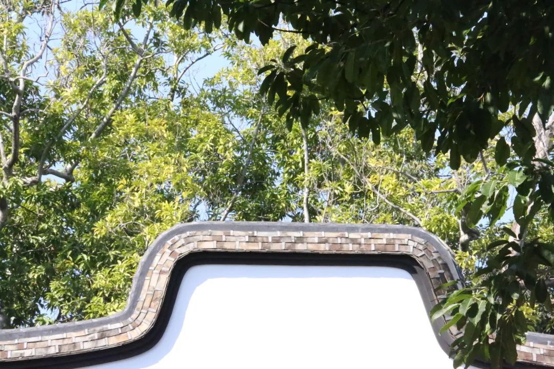 微信图片_20220301141517 微信图片_20220301141517.jpg