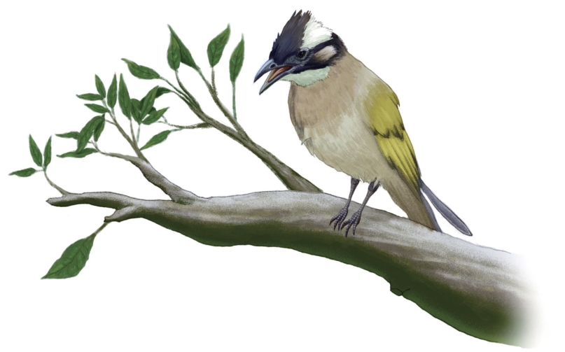 pagenumber_ebook=135,pagenumber_book=124