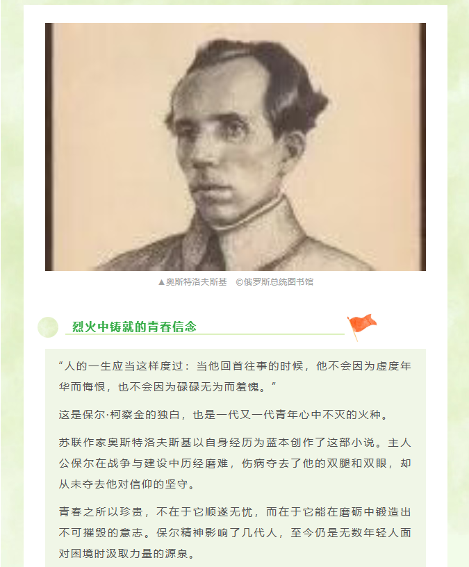 image.png?v=1778080979423