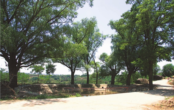 pagenumber_ebook=111,pagenumber_book=101