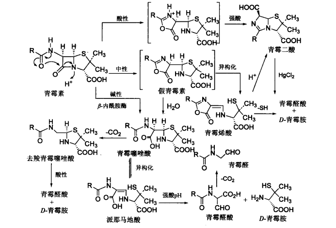 pagenumber_ebook=322,pagenumber_book=304