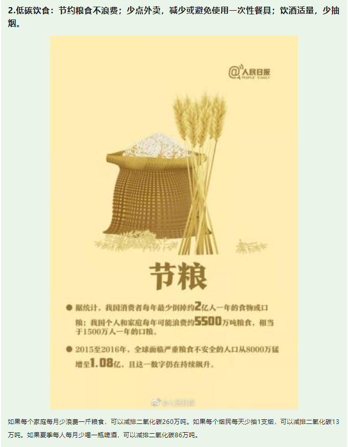 image image.png?v=1763569561592