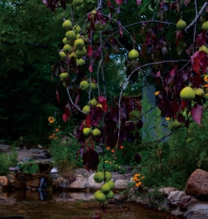 pagenumber_ebook=64,pagenumber_book=52