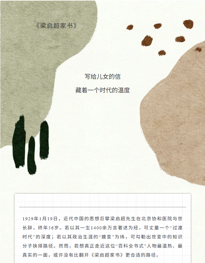 image.png?v=1770172279885