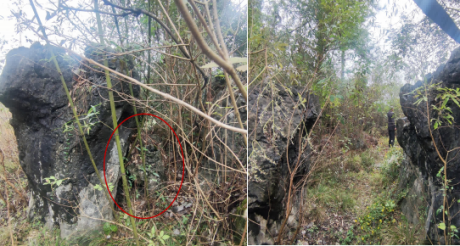 图片 4 图片 4.png