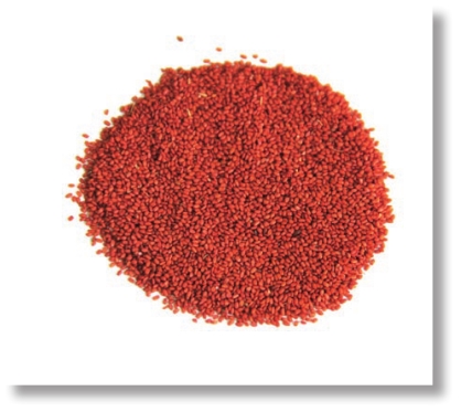 pagenumber_ebook=224,pagenumber_book=211