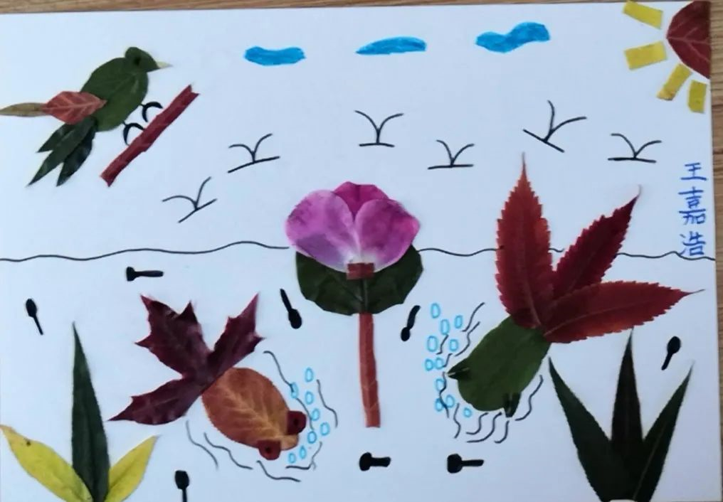 image image.png?v=1762153222211