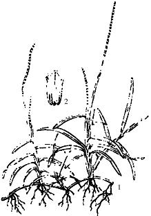 pagenumber_ebook=247,pagenumber_book=247